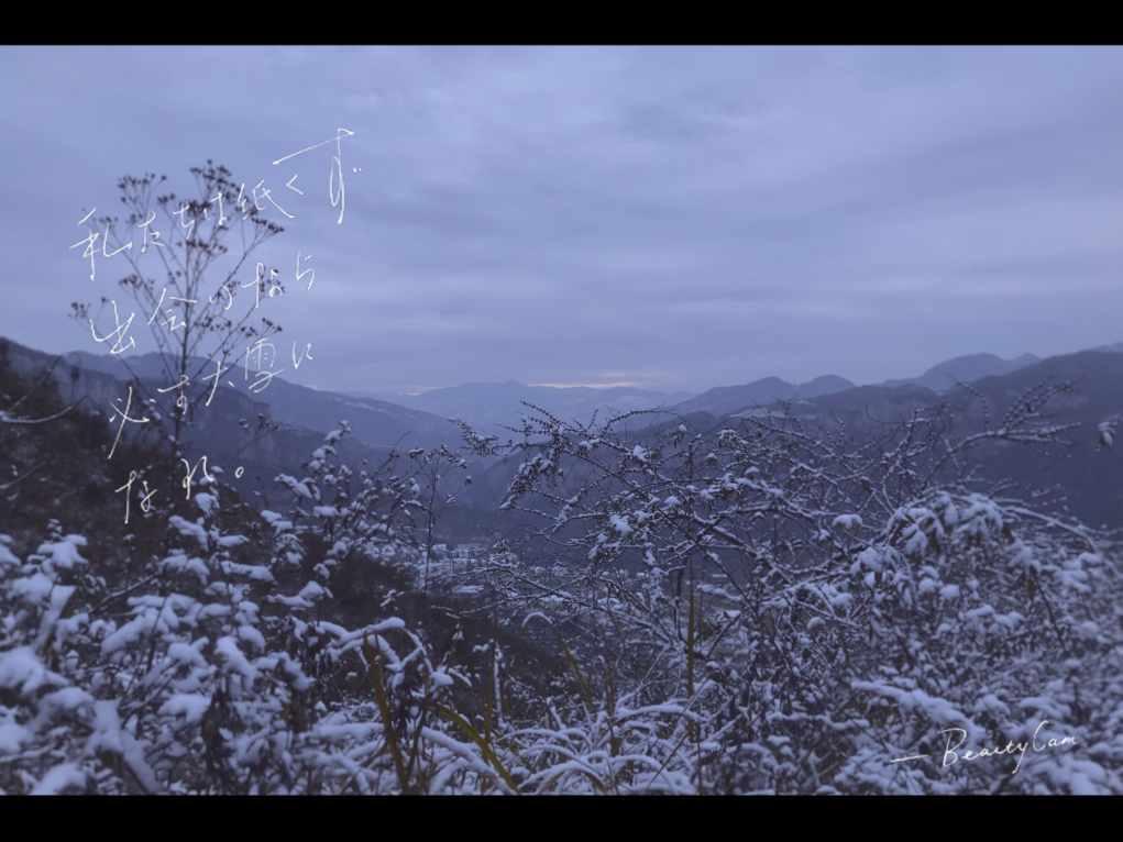 杜锋的挫败!两毒瘤新星长时间培养仍原地踏步,攻守全崩成笑话?