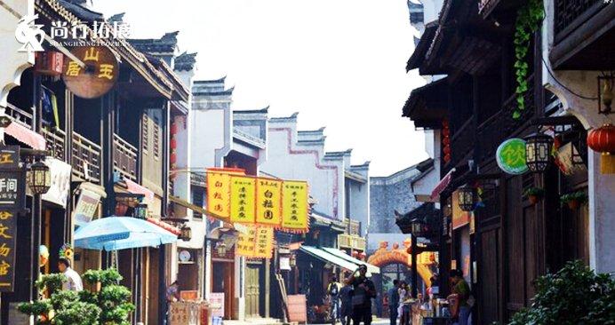 解救金刚鹦鹉